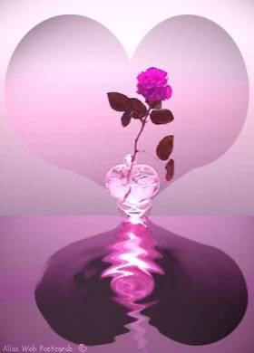 toi mon ame soeur