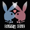 bunny love